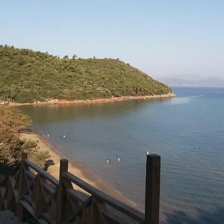 Lejlighed Close To National Park *